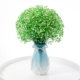 Звезда зеленого человека (подарки Vase Sea Moon Vase+лента)