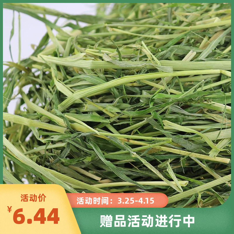 Dragon cat special pet supplies high fiber barley grass 250g dragon cat hay herd rabbit grass 3 kg