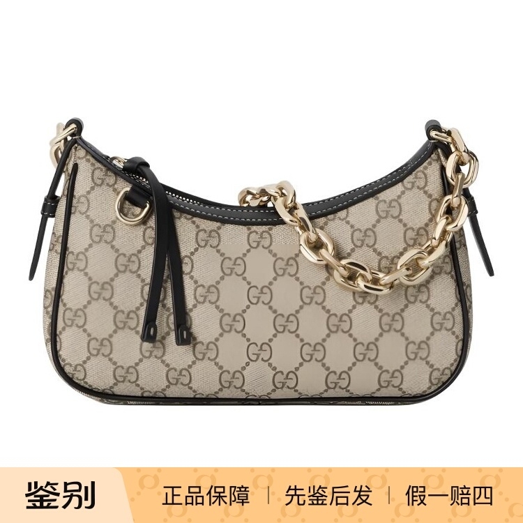 Turtle and Red Wing Gucci Gg Emblem Double g Full-Print Design Gg Coated Fabric Shoulder Bag Ss