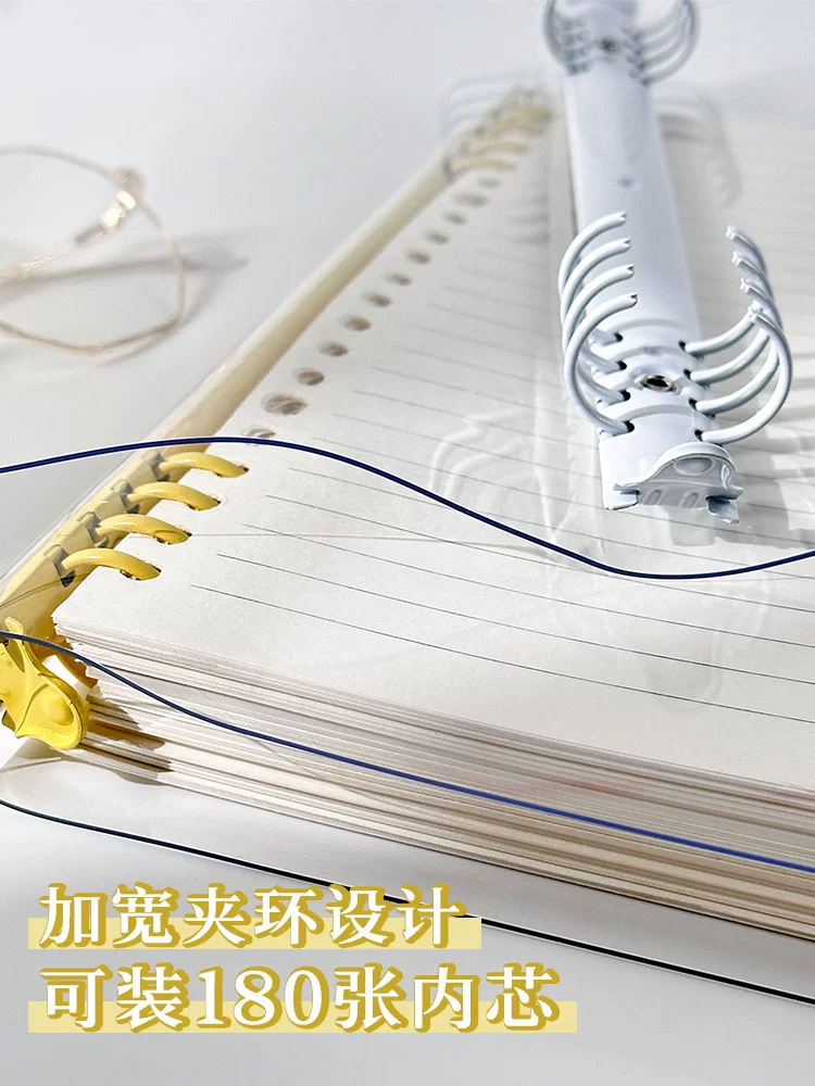 Transparent capacious removable lock, high quality folder, hole puncher, tear-off sheet, DIY