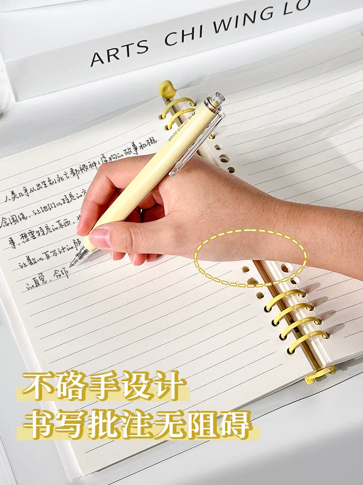 Transparent capacious removable lock, high quality folder, hole puncher, tear-off sheet, DIY