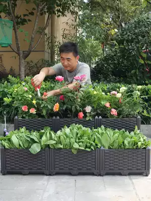 Balcony vegetable artifact planting box Vegetable flower pot growing family balcony plastic flower pot roof vegetable garden box