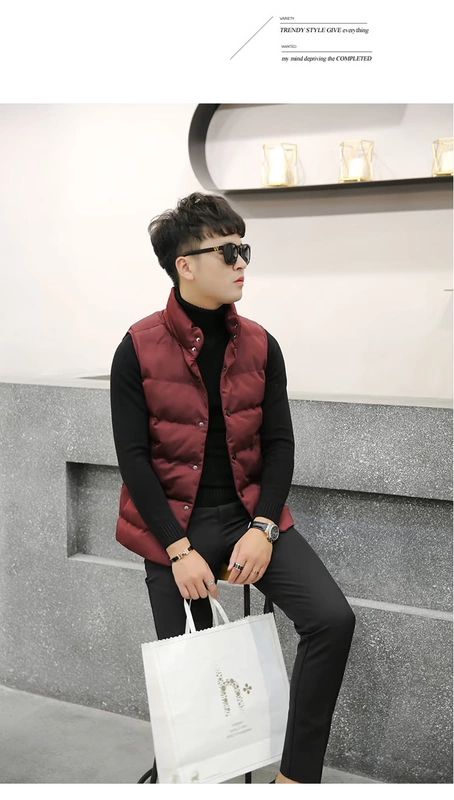 Mùa đông mới của Hàn Quốc phiên bản của tự trồng đứng cổ áo nam cotton vest thời trang ngắn cotton vest áo khoác thanh niên vest vai vest