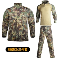 Зеленый рисунок питона