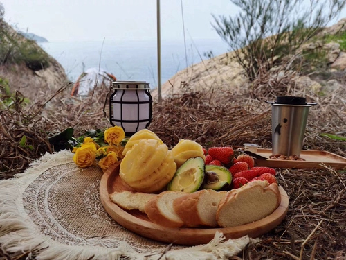 Ins ручное ручное вязаная подушка для еды jaoseki