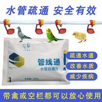 The water line of the special chicken duck pigeon pig house waterline blockage cleaning and cleaning agent veterinary water pipe dredging agent