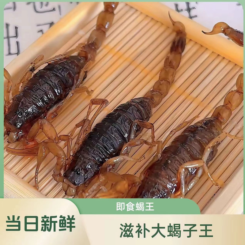Fried Scorpion King, Five-Spice Spicy Large Scorpion, Ready-To-Eat, Full of Flavor, Perfect as a Snack to Accompany Drinks, a Specialty for Entertaining and Gatherings