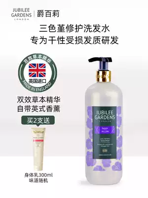 Imported JubileeGardens Bailey Yinglun Balm Shampoo, Antipruritic Control Oil Smoothly Lasting