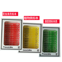 Microscopic specimens of plant rhizomes and leaves and vegetable and insect specimens