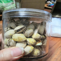 New Years Day) New Arrival Salted Pistachios 500g Bags Nuts Dried Fruits Bulk Fresh Cans 250g 28