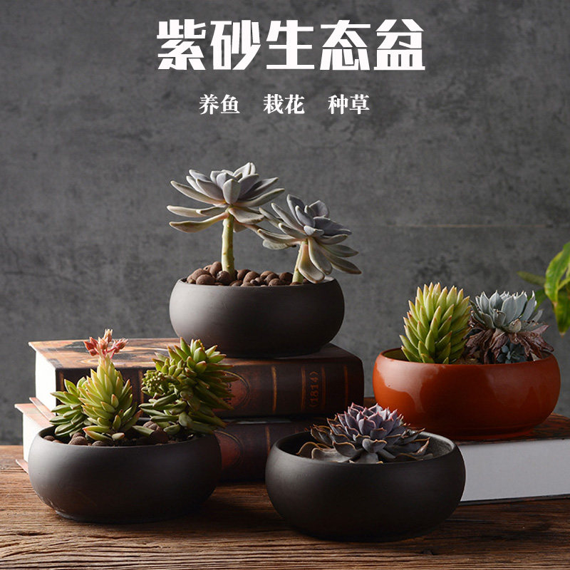 Ceramic fish tank purple sand fish tank creative desktop simple ecological landscape small tank hydroponic plant bonsai fish shrimp