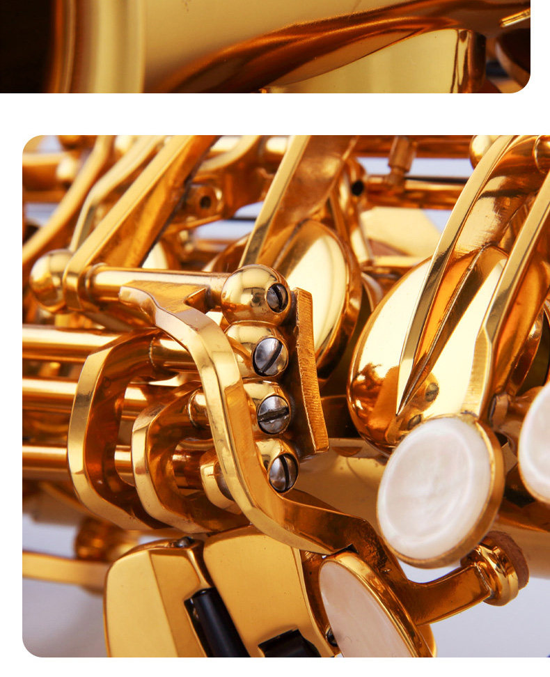 斯达威仲夜AS-875中音萨克斯风 降E调专业演奏级漆金手工雕花黄铜详情8