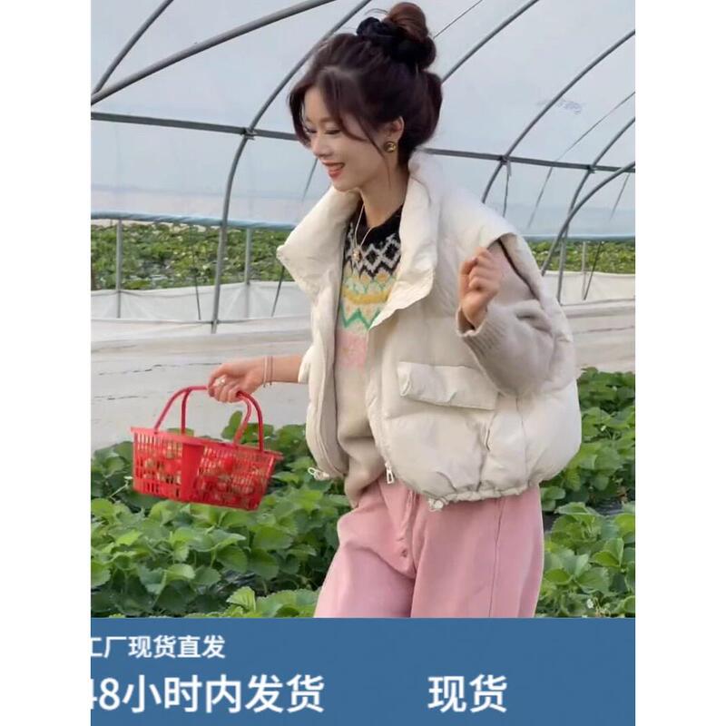 Stand Collar Vest for Women, Short Vest, Winter 2024 New Korean Style, Loose and Elegant Vest Jacket for Petite People Stand Collar Vest for Women, Short Vest, Winter 2024 New Korean Style, Loose and Elegant Vest Jacket for Petite People