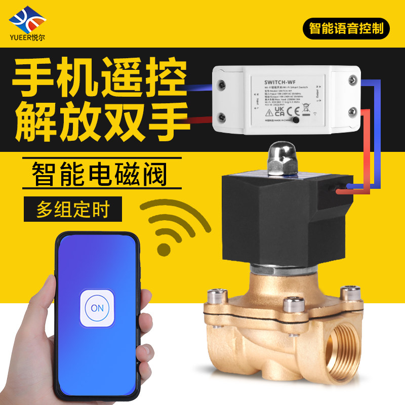 WIFI solenoid valve water valve 220V smart switch wireless phone remote remote control intelligent automatic water pipe watering