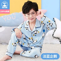 Голубой пингвин