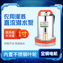 Small high-lift DC submersible pump 12V24V48V60V electric vehicle water pump Battery car water pump water pump water pump water pump water pump water pump water pump water pump water pump water pump water pump water pump water pump water pump water pump water pump