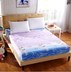 khiếm khuyết rắn một mảnh trượt Li 1,8 sạch lực lượng hạt tăng cường in mới nệm bìa bọc tấm Lý - Trang bị Covers Ga phủ giường Everon Trang bị Covers