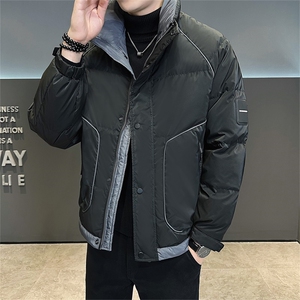 标85白鸭绒 高品质冬季休闲立领羽绒服保暖外套男23878-P225图片