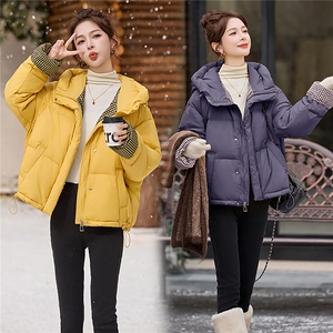 50白鸭绒羽绒服图片