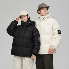 新标90白鸭绒连帽羽绒服时尚休闲简约百搭外套BL0617-P268，男装羽绒服，电商B306
