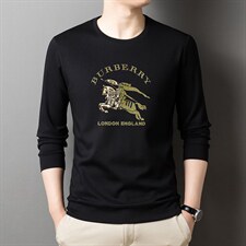 卫衣男春秋季2023新款长袖印花圆领套头上衣中年商务休闲加厚男装，男装卫衣，电商B212（原钱塘6029）