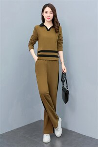 韩版时尚气质休闲套装女秋季新款长袖显瘦两件套运动服图片
