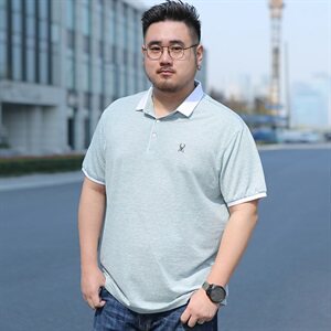 男士短袖T恤夏季薄款休闲上衣半袖体恤衫POLO衫加肥大码1902款图片