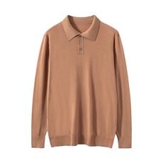 高端男装长袖T恤2025秋冬季新款商务休闲翻领时尚百搭Polo衫上衣，男装T恤，雪山红莲