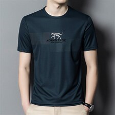 短袖t恤男中年人圆领2023夏季新款商务休闲刺绣宽松男装polo衫，男装T恤，电商B212（原钱塘6029）