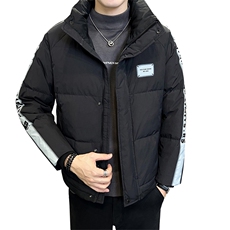 2025冬季新标90白鸭绒高品质店主风拼色立领羽绒服男23818-P280，男装羽绒服，电商A413