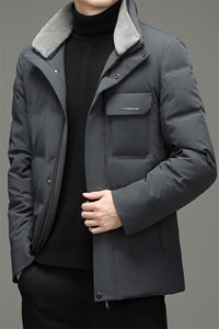BZ2269钱塘2020-2秋冬新款中年男士立领羽绒服时尚休闲外套P215图片