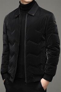 冬季新款中年男士白鸭绒立领短羽绒服爸爸冬装外套YL5909-P280图片