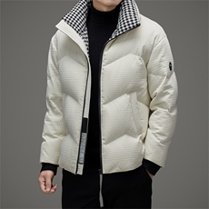 DAJ823-3钱塘2020-2时尚休闲简约百搭厚款中年男士羽绒服P220，男装羽绒服，钱塘207-2