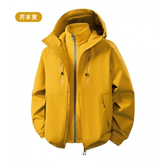 棉服克分开棉服2025平铺外贸大码男装时尚三合一冲锋衣2366A，男装棉衣，星座1816-3（原1210-3）