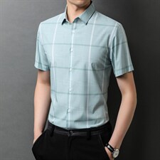 夏季新款2022中年男士短袖衬衫休闲免烫爸爸装衬衣上衣，男装衬衫，电商B212（原钱塘6029）