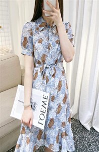 DINO BIENS【现货】 夏季新款  定制复古花连衣裙图片