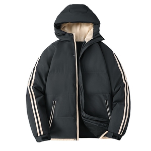 2025冬季两条杠棉衣羽绒棉服百搭情侣棉衣外套男1018-758-P48,30岁女人穿衣搭配 冬季图片