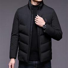 2023新款冬装羽绒服中青年男加厚保暖防寒立领外套AJY20859-P225，男装羽绒服，电商B212（原钱塘6029）
