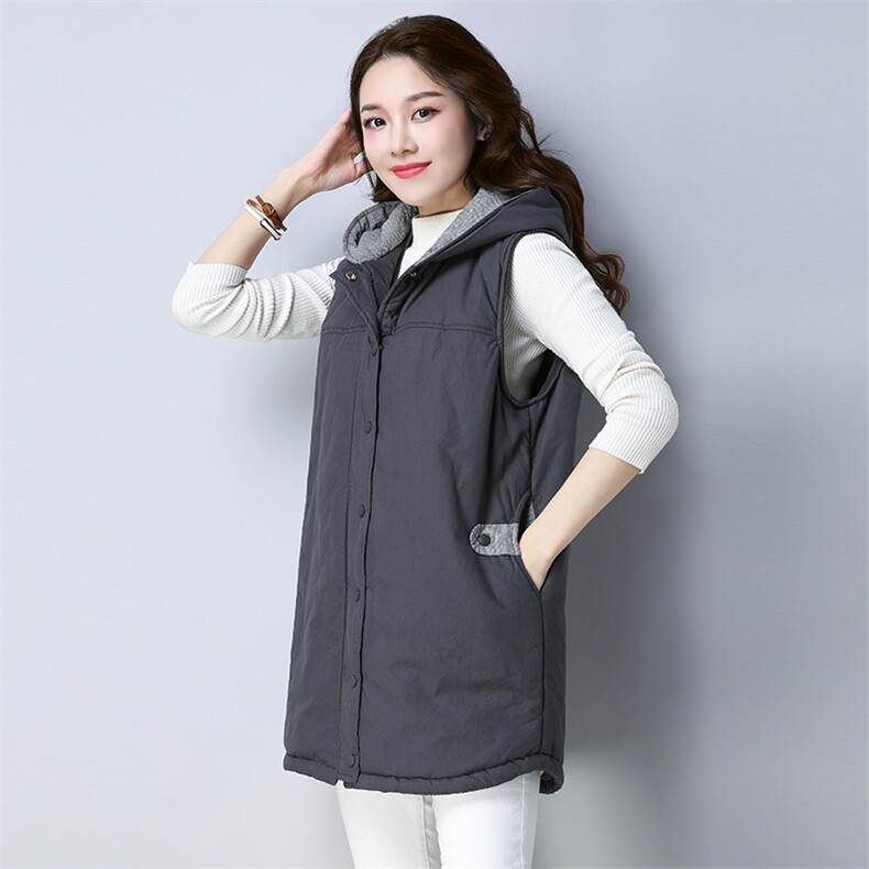 连帽潮流简约个性优雅时尚马夹2021年秋季翻领无袖纯色，女装马夹，秋牧寒烟