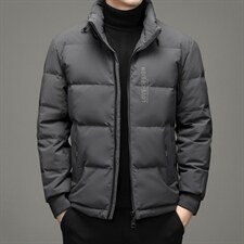 中年男士羽绒服男冬季中年爸爸翻领冬装休闲款外套YL28809-P265图片