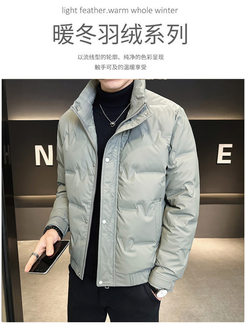 DS-A225-8707新标三防面料男士立领免洗潮流时尚休闲鸭绒羽绒服,男装羽绒服,电商A225
