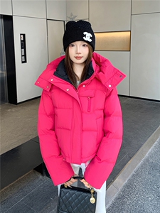 现货新款2179-P255=K365小个子羽绒服图片
