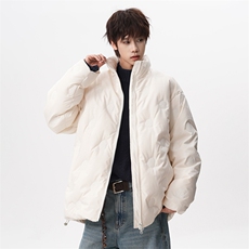 现货高品质压花90绒羽绒服潮流简约休闲百搭225-2-Y205-P255，男装羽绒服，星座225-2