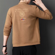 春秋季新款卫衣时尚休闲开衫男士商务运动中年秋装潮流刺绣外套，男装卫衣，电商B212（原钱塘6029）