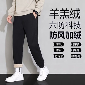 羊羔绒加绒加厚保暖直筒裤男女冬季休闲显瘦显高运动裤图片