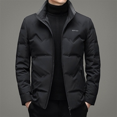 中年男士羽绒服短款立领2024年新款纯色冬季保暖衣服爸爸冬装外套，男装羽绒服，电商B212（原钱塘6029）