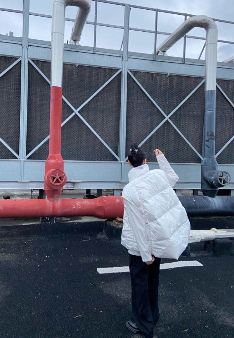 欧版羽绒马甲，女装马甲，LL+