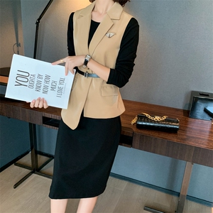 2022春装新款女装时尚百搭显瘦马甲连衣裙两件套套裙图片