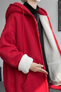 8XL-M 高品质！卫衣厚外套男加绒加厚开衫羊羔毛卫衣WY13P68控88图片