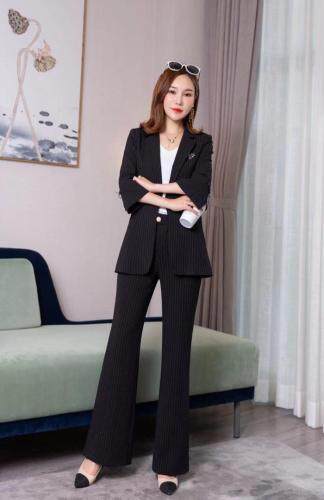 秋季新款套装，女装职业装，有声有色